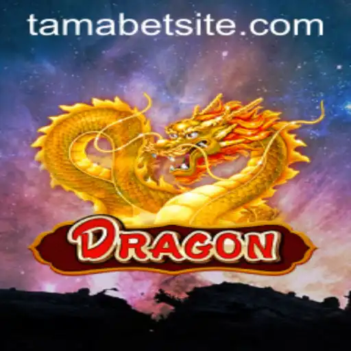 Discover Dragon: The Thrilling Game Experience with TAMABET Elements